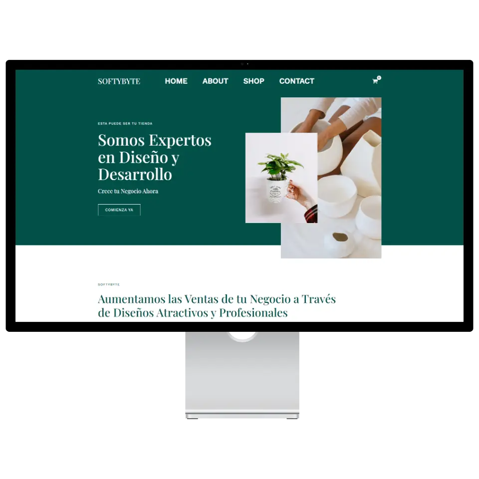 Softybyte Experts in Online Store Design